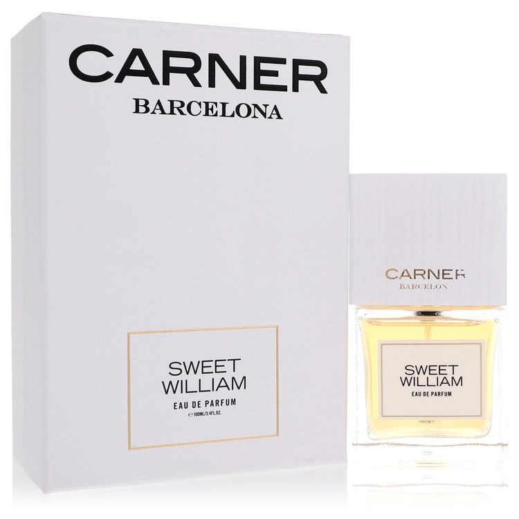 Carner Barcelona Sweet William